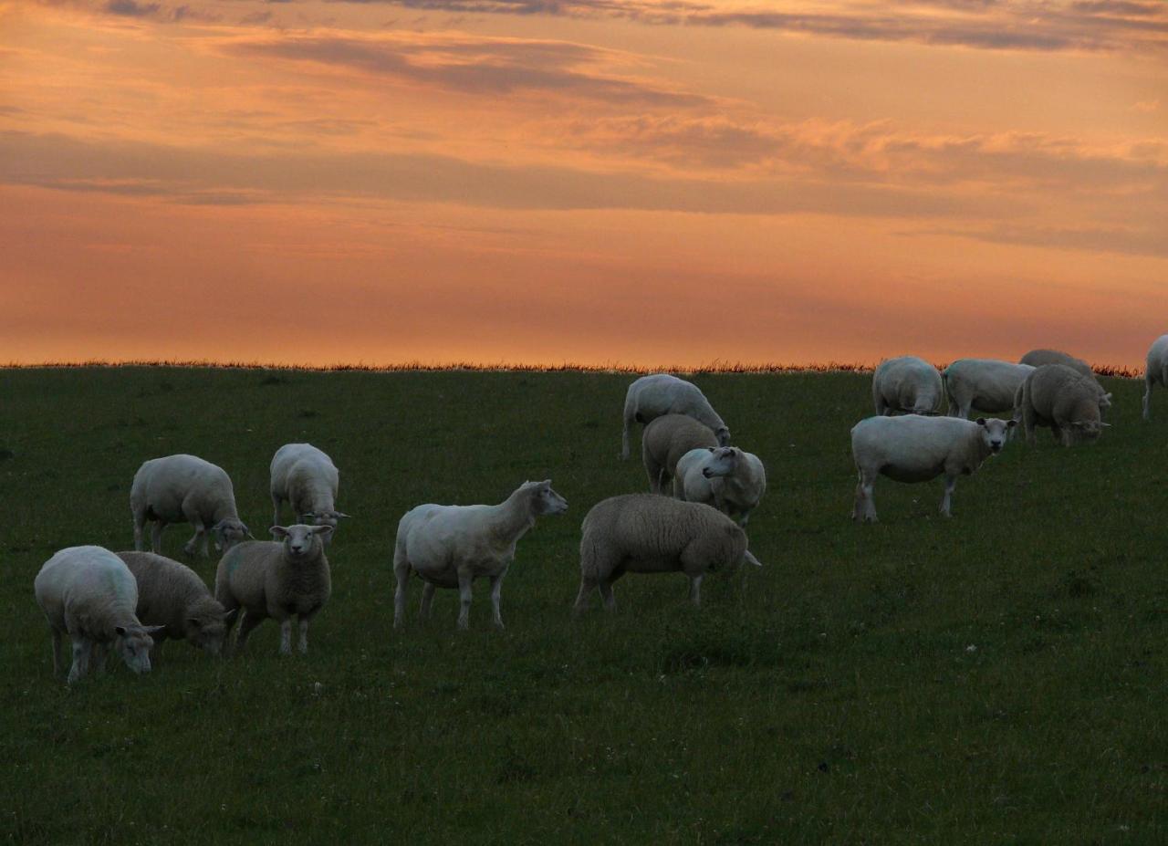 Haus-Halligblick-Ferienwohnung-Hamburger-Hallig Dagebüll Dış mekan fotoğraf
