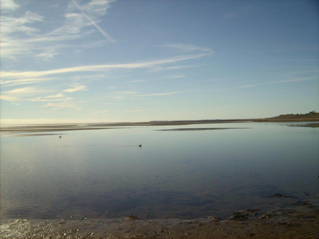 Haus-Halligblick-Ferienwohnung-Hamburger-Hallig Dagebüll Dış mekan fotoğraf