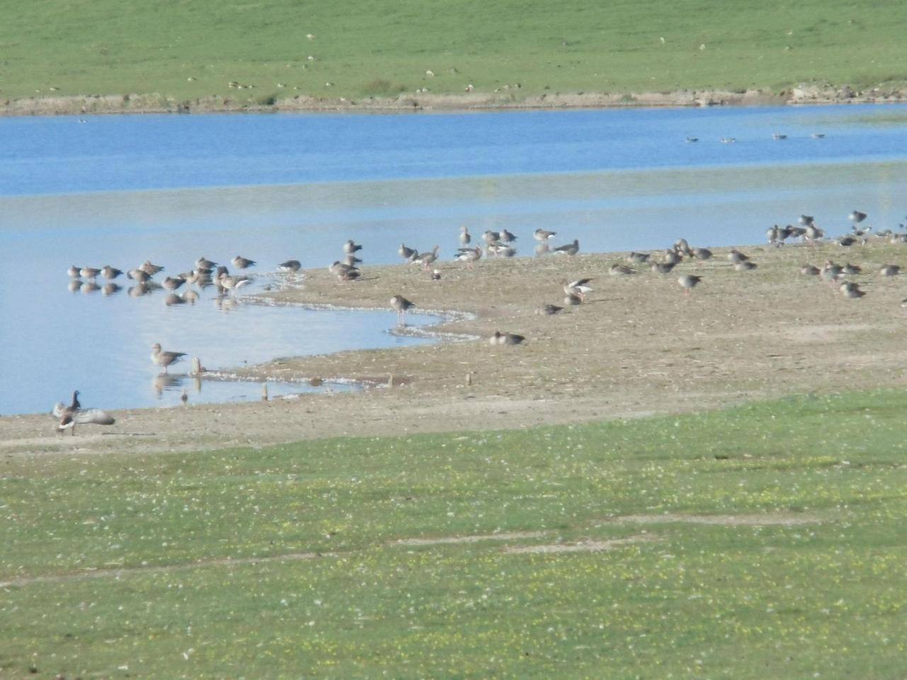 Haus-Halligblick-Ferienwohnung-Hamburger-Hallig Dagebüll Dış mekan fotoğraf