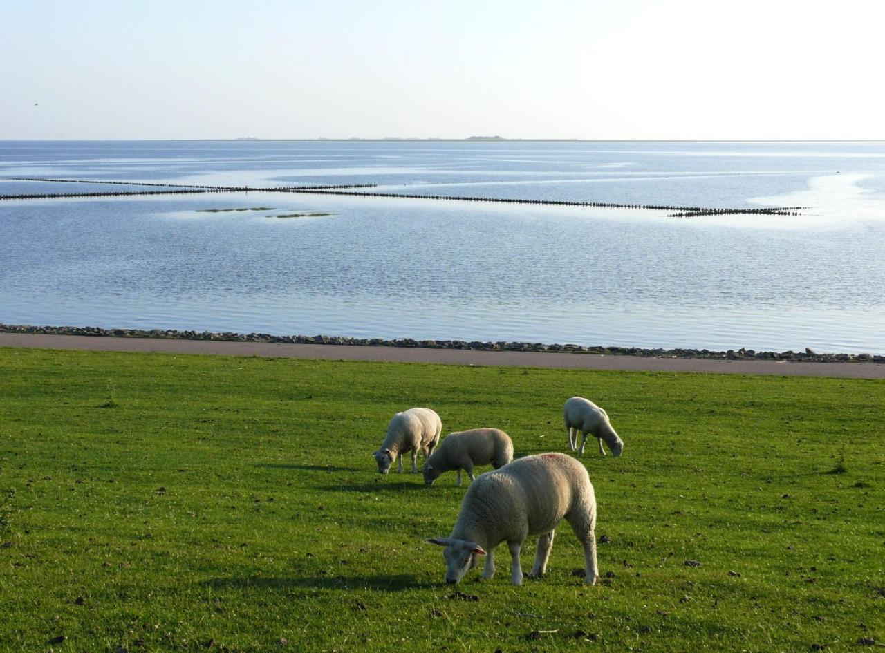 Haus-Halligblick-Ferienwohnung-Hamburger-Hallig Dagebüll Dış mekan fotoğraf