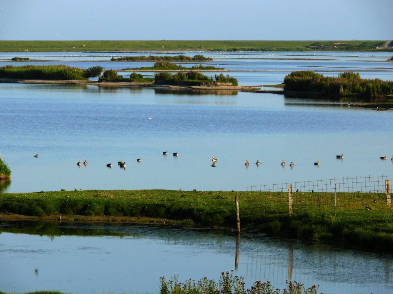 Haus-Halligblick-Ferienwohnung-Hamburger-Hallig Dagebüll Dış mekan fotoğraf